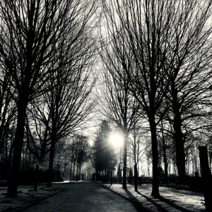 Sonnenaufgang...... Jürgen Herborn
